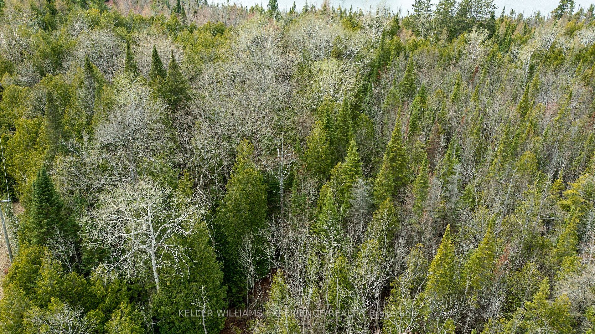 Listing X6662448 - Large Photo # 28