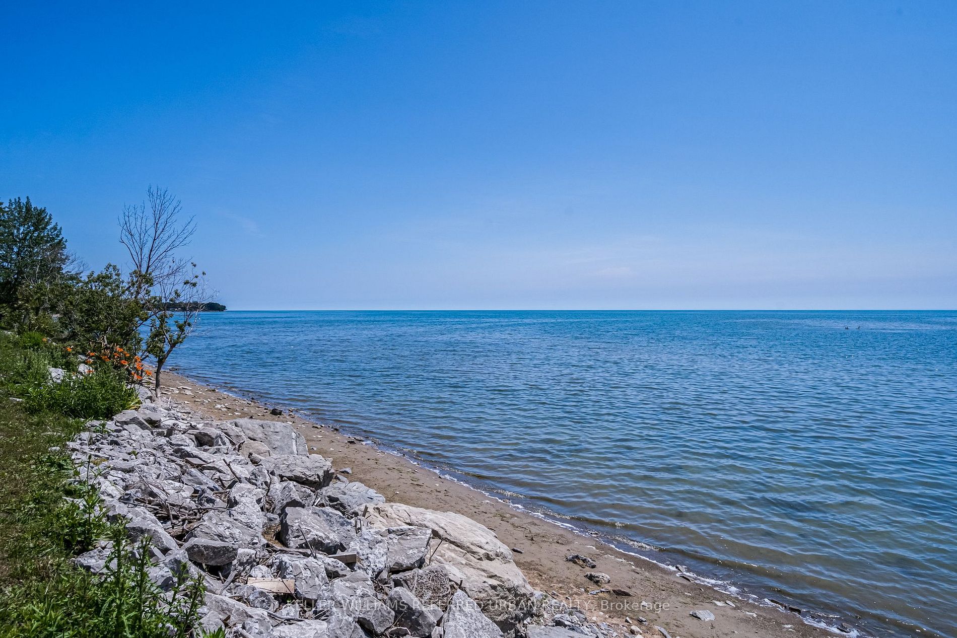 Listing X6667408 - Large Photo # 39
