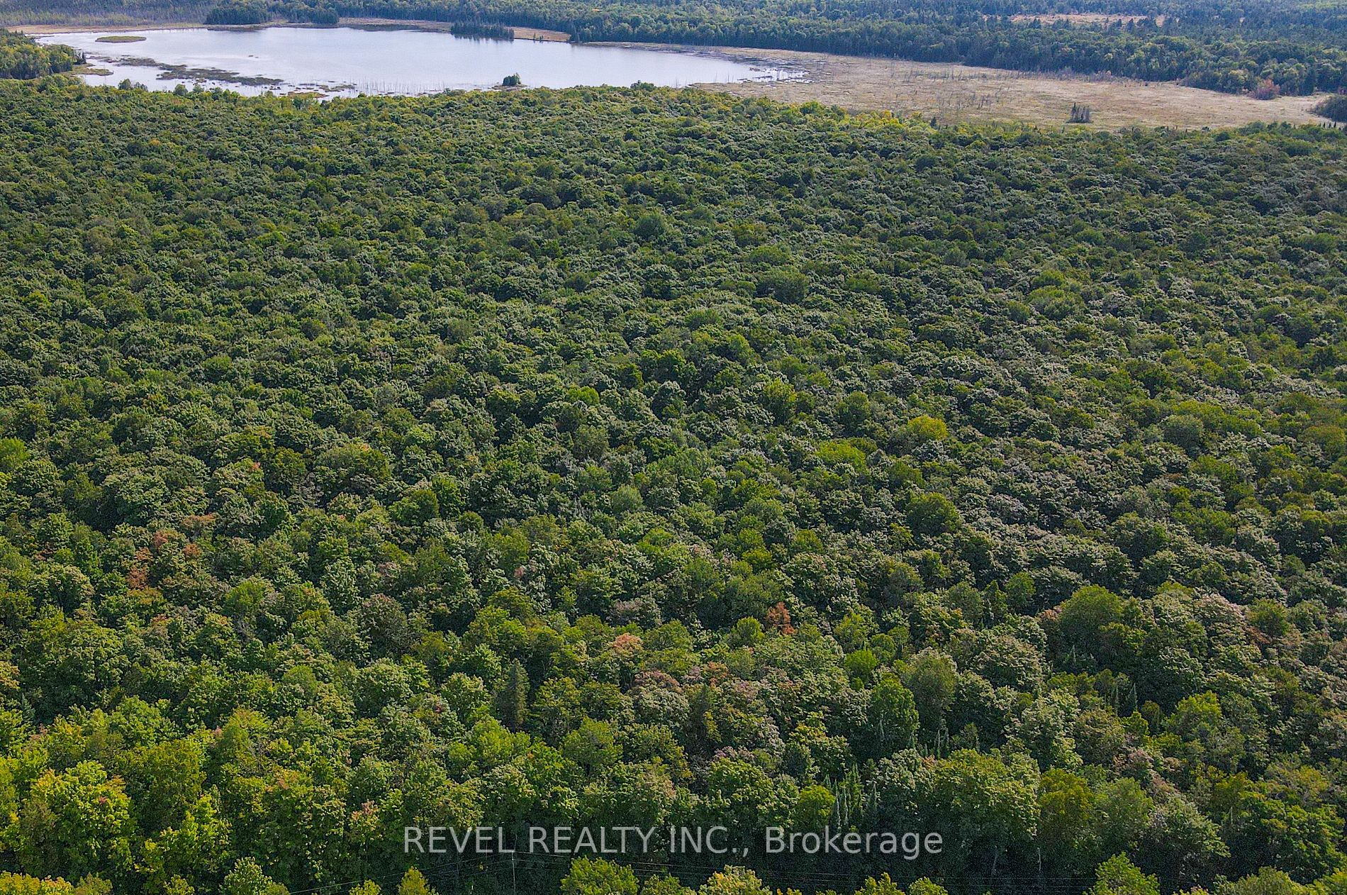 Lot 11 Con 1 Laxton Rd