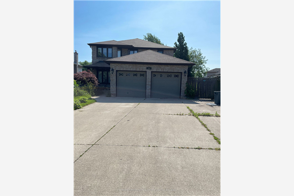 55 Silvervine Dr, Hamilton