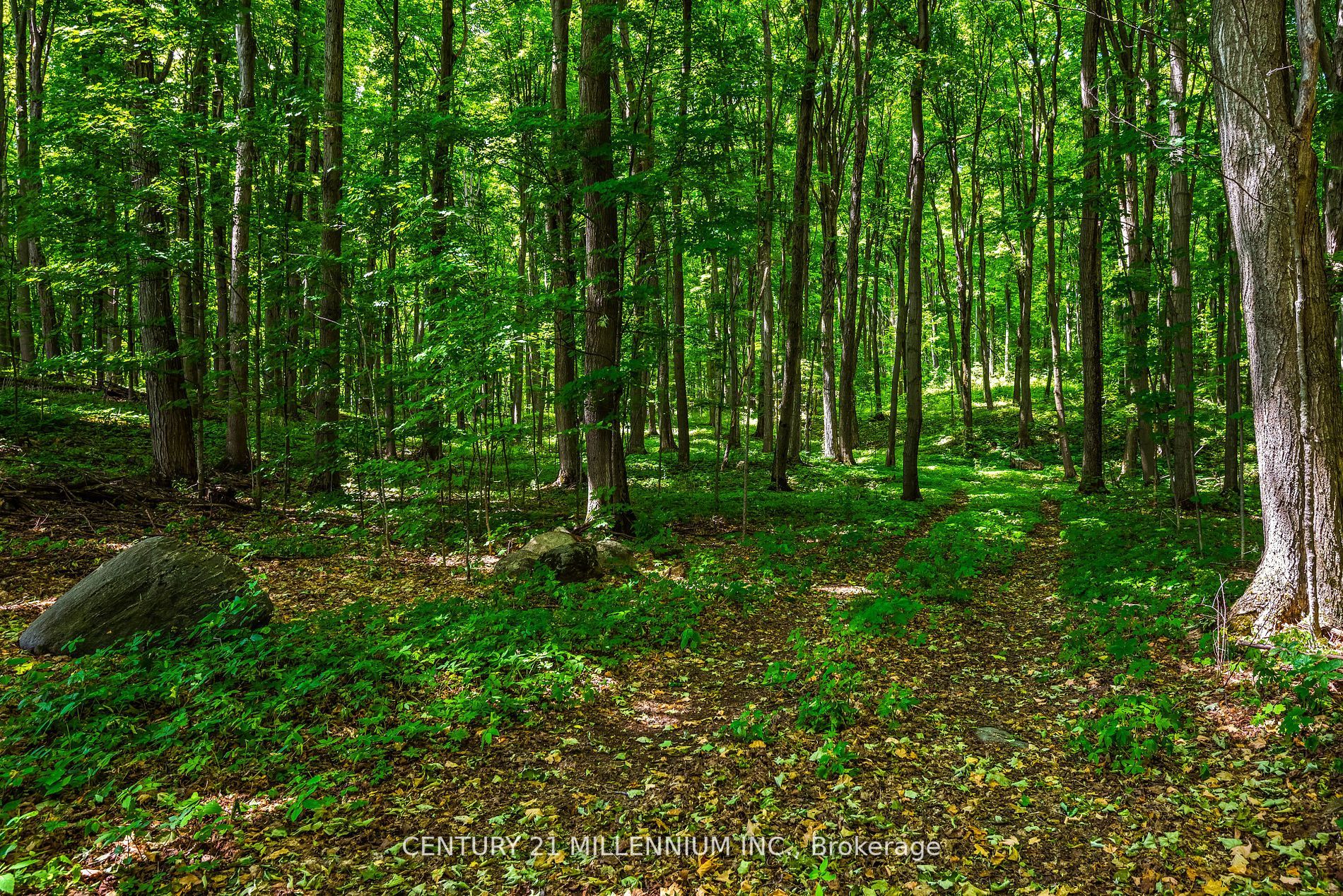 Listing X6681562 - Large Photo # 39