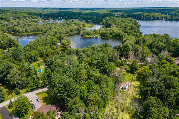 Lt 15 Pine Ridge Rd, Kawartha Lakes