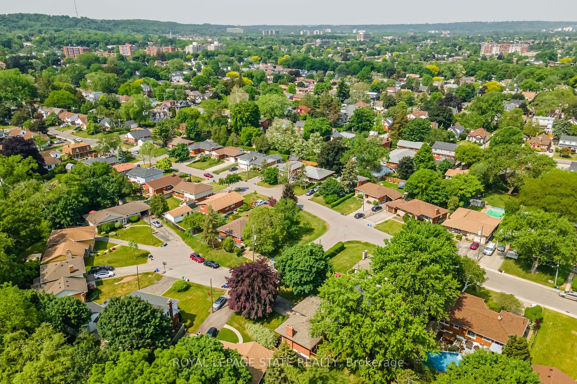 5 Gemma Crt