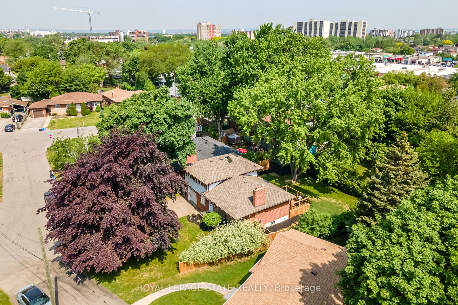 5 Gemma Crt