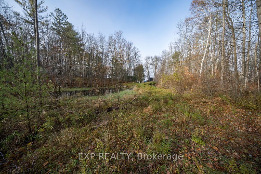 316 High Shore Road
