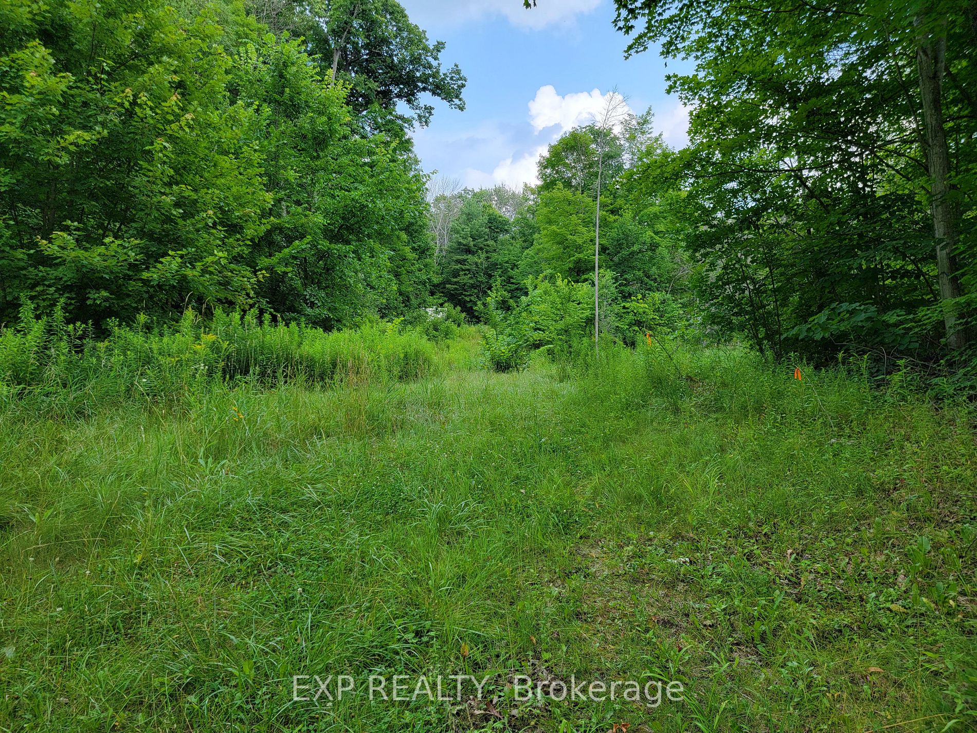316 High Shore Road