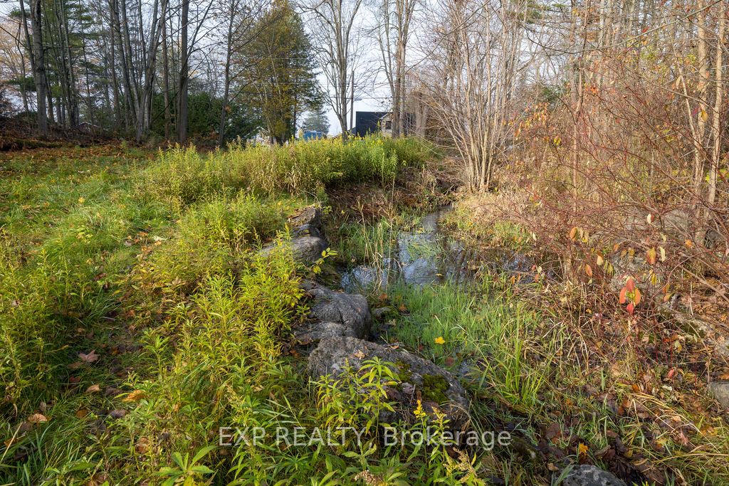 316 High Shore Road