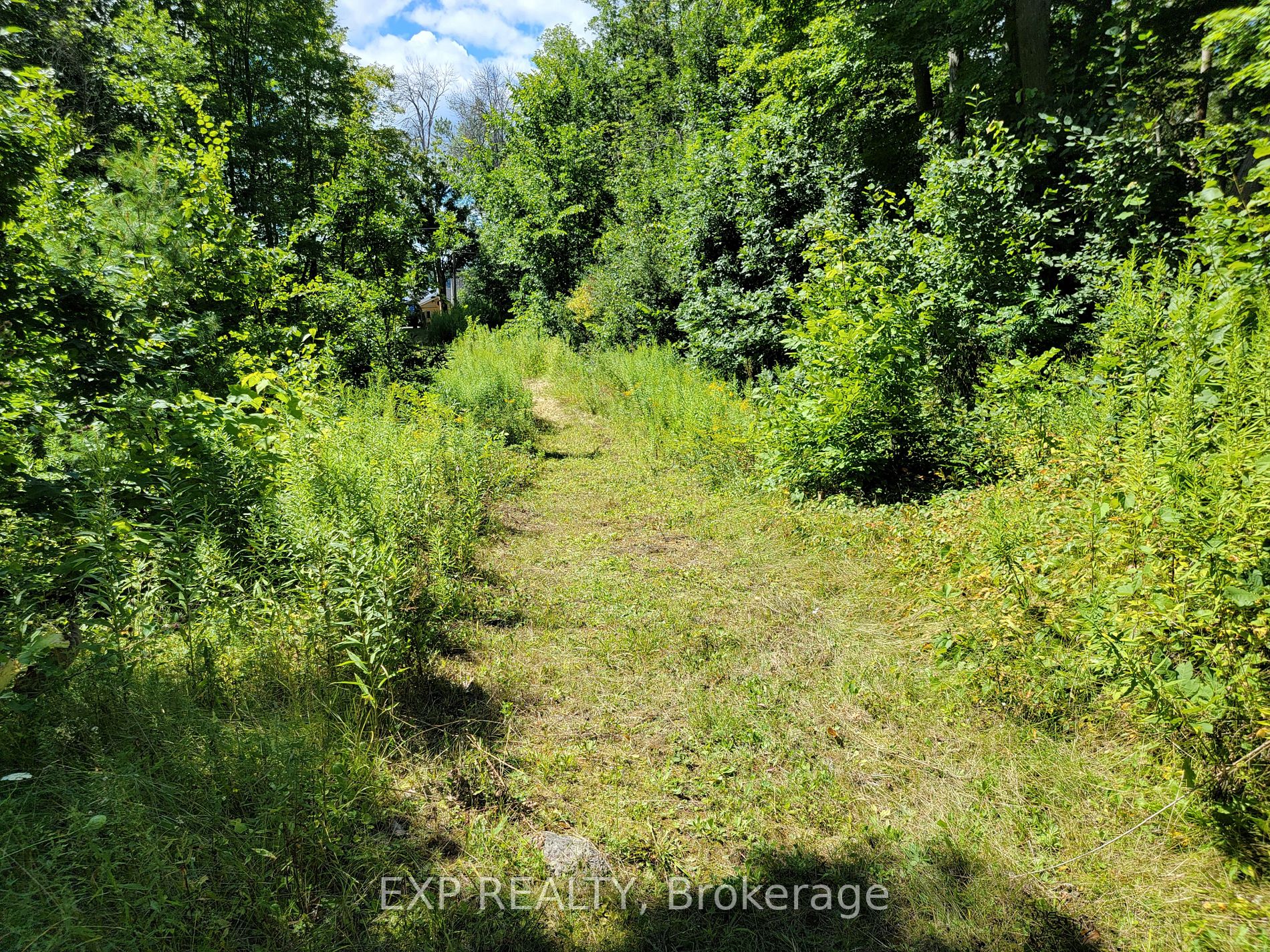 316 High Shore Road