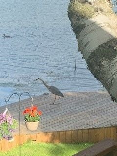 93 Driftwood Shores Rd