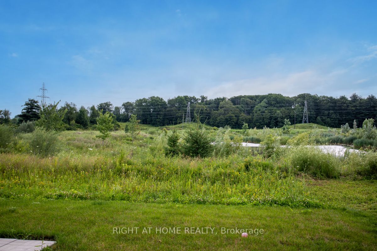 19 Robarts Dr