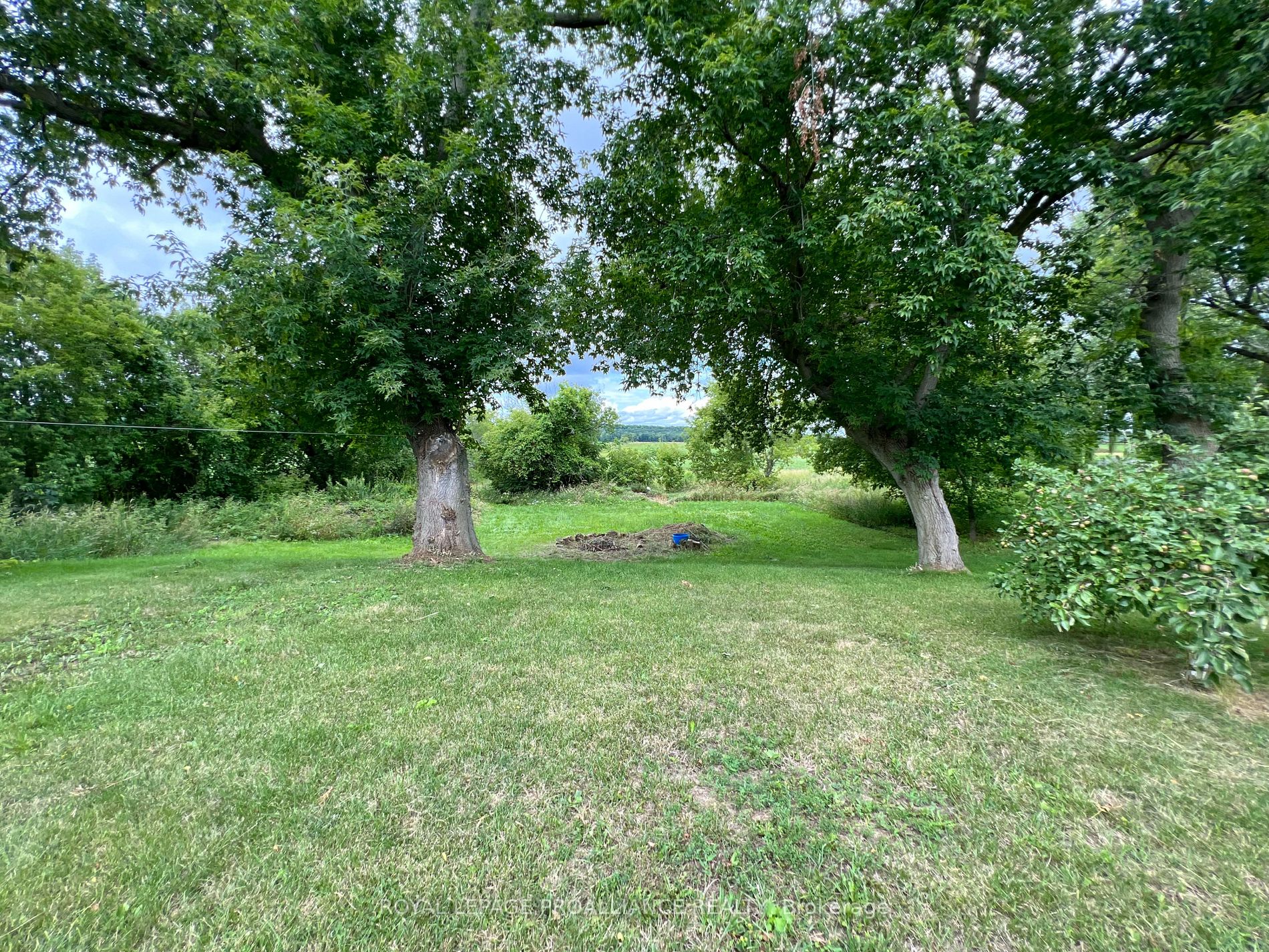 4427 County 8 Rd