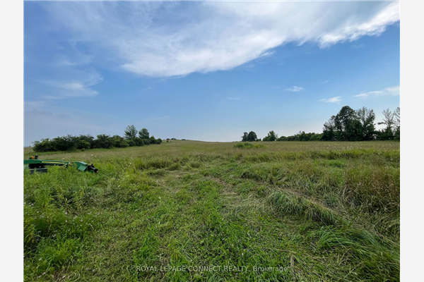 Lot 10 Pigeon Creek Rd, Kawartha Lakes