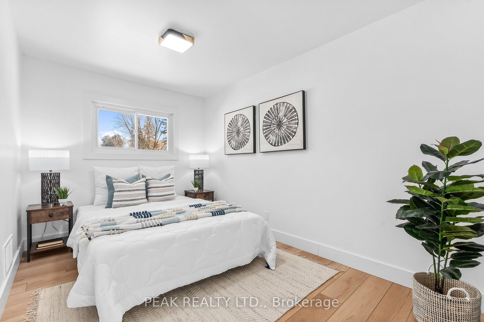 229 Monck Road