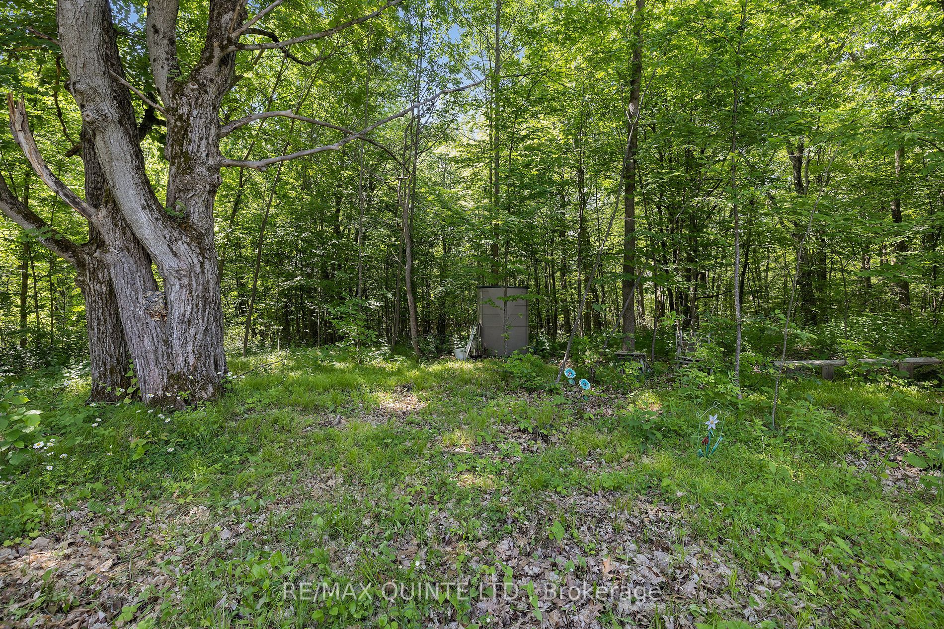 35 WILDROSE Circle