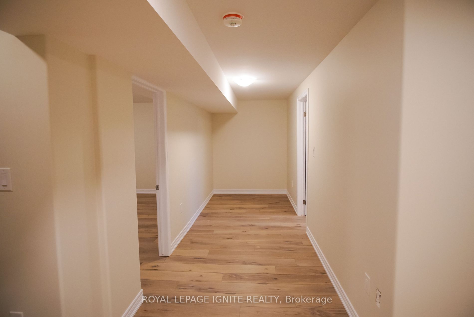7138 Parsa Street, #12