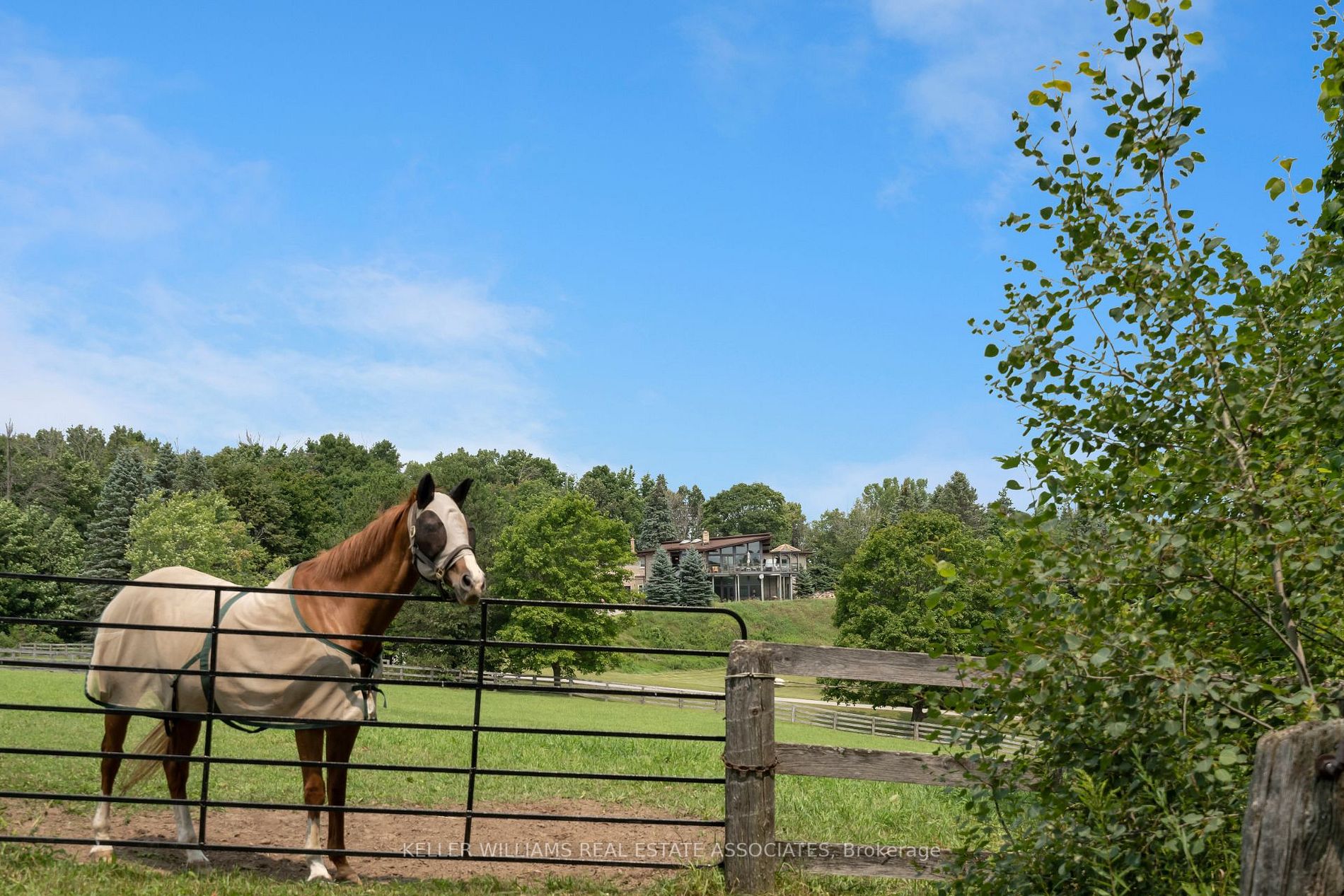 Listing X6721852 - Large Photo # 33