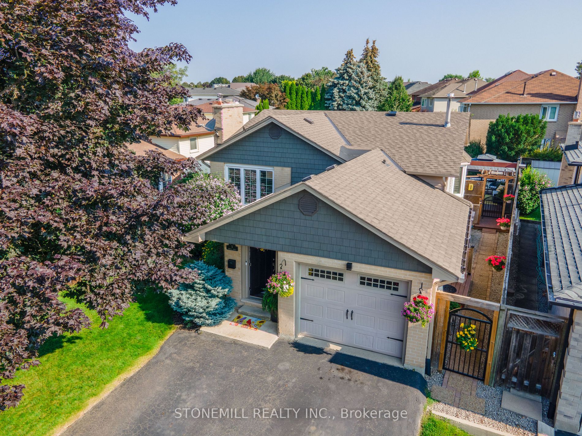 5 Pamela St