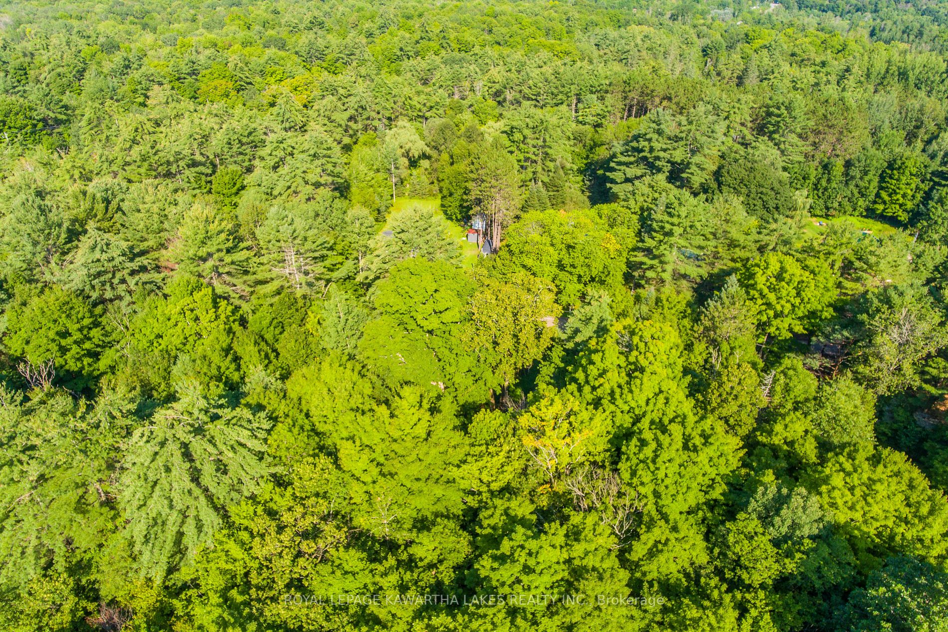 Lot 33 Benson Blvd