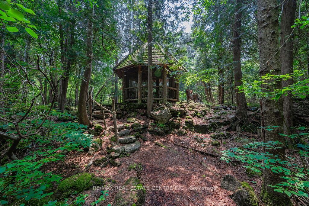 15 River Bluff Path
