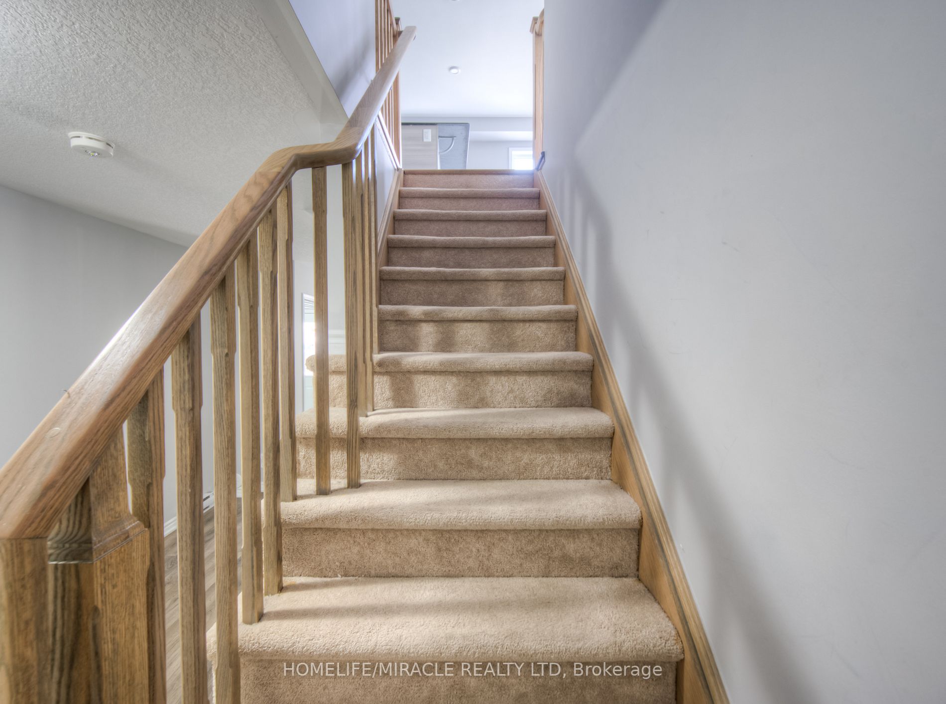 526 Goldenrod Lane, #0