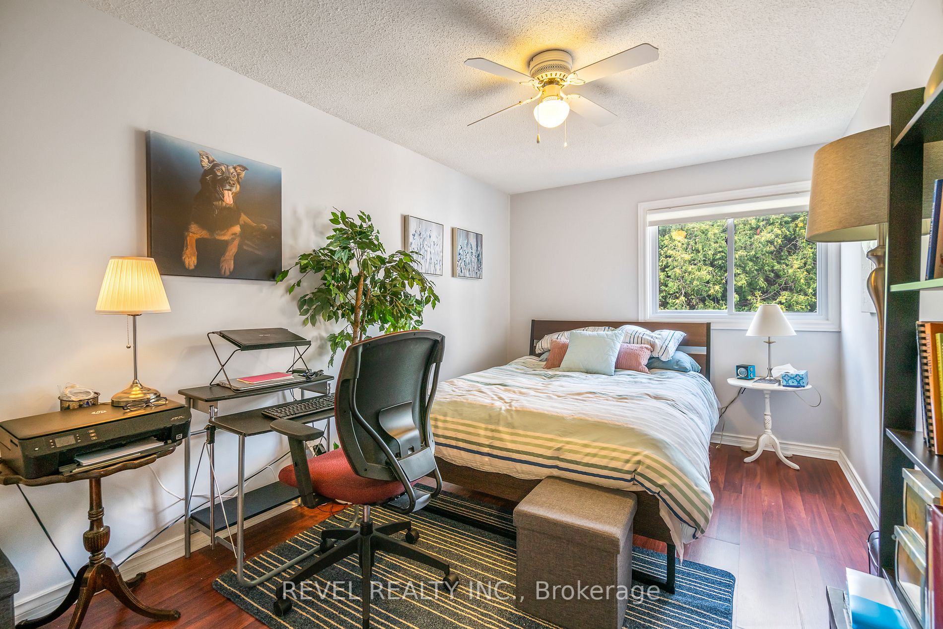 62 Ann Street, #5