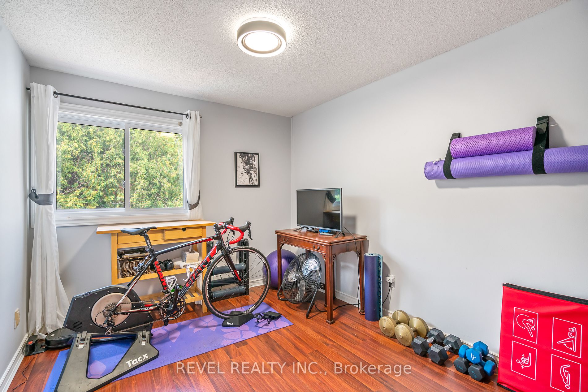 62 Ann Street, #5