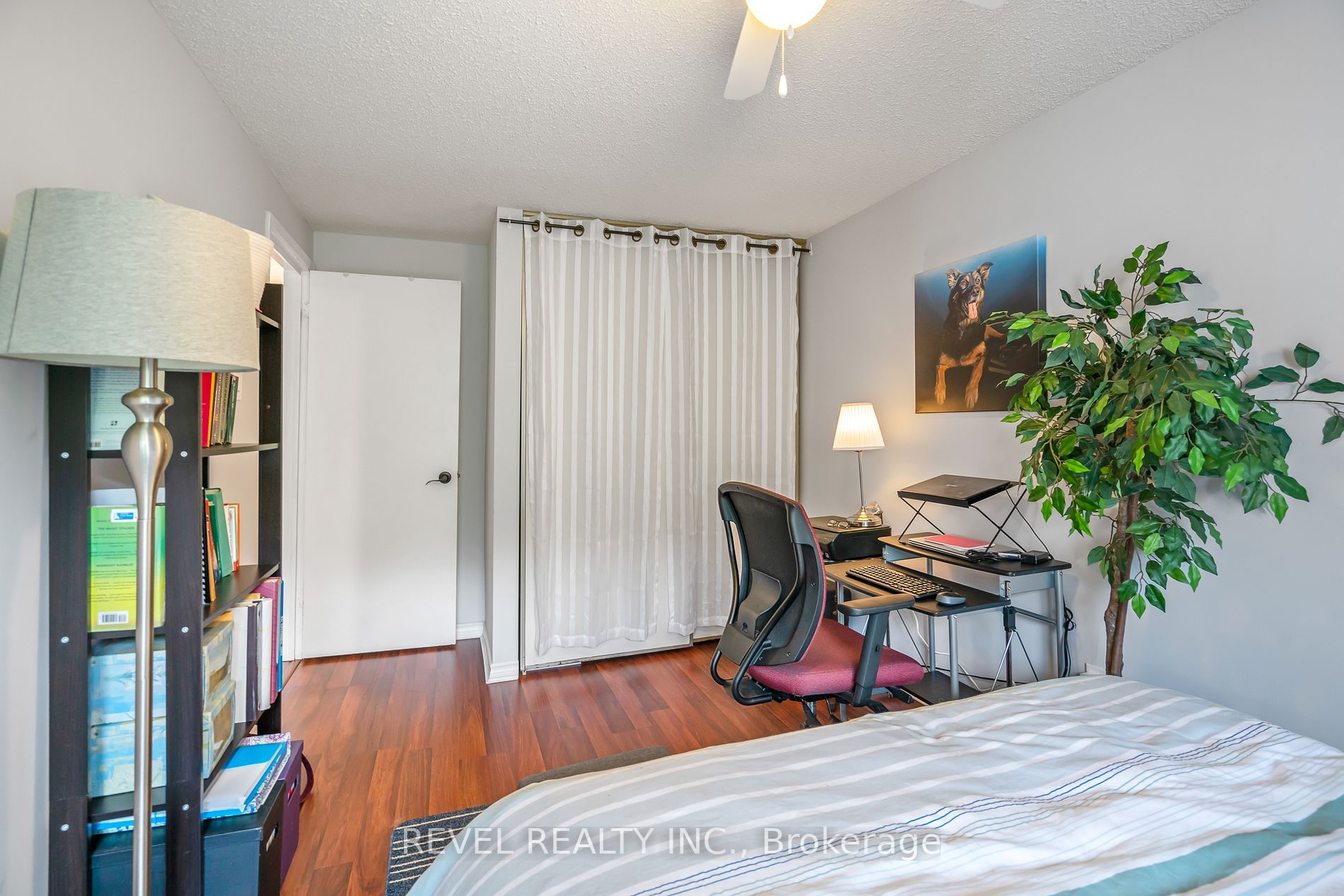 62 Ann Street, #5