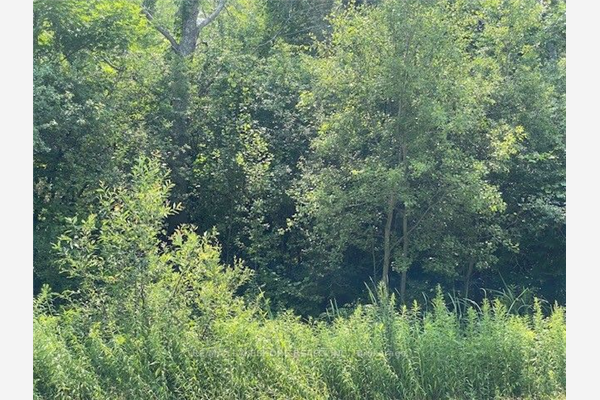 B2 Pipeline Rd, Cramahe