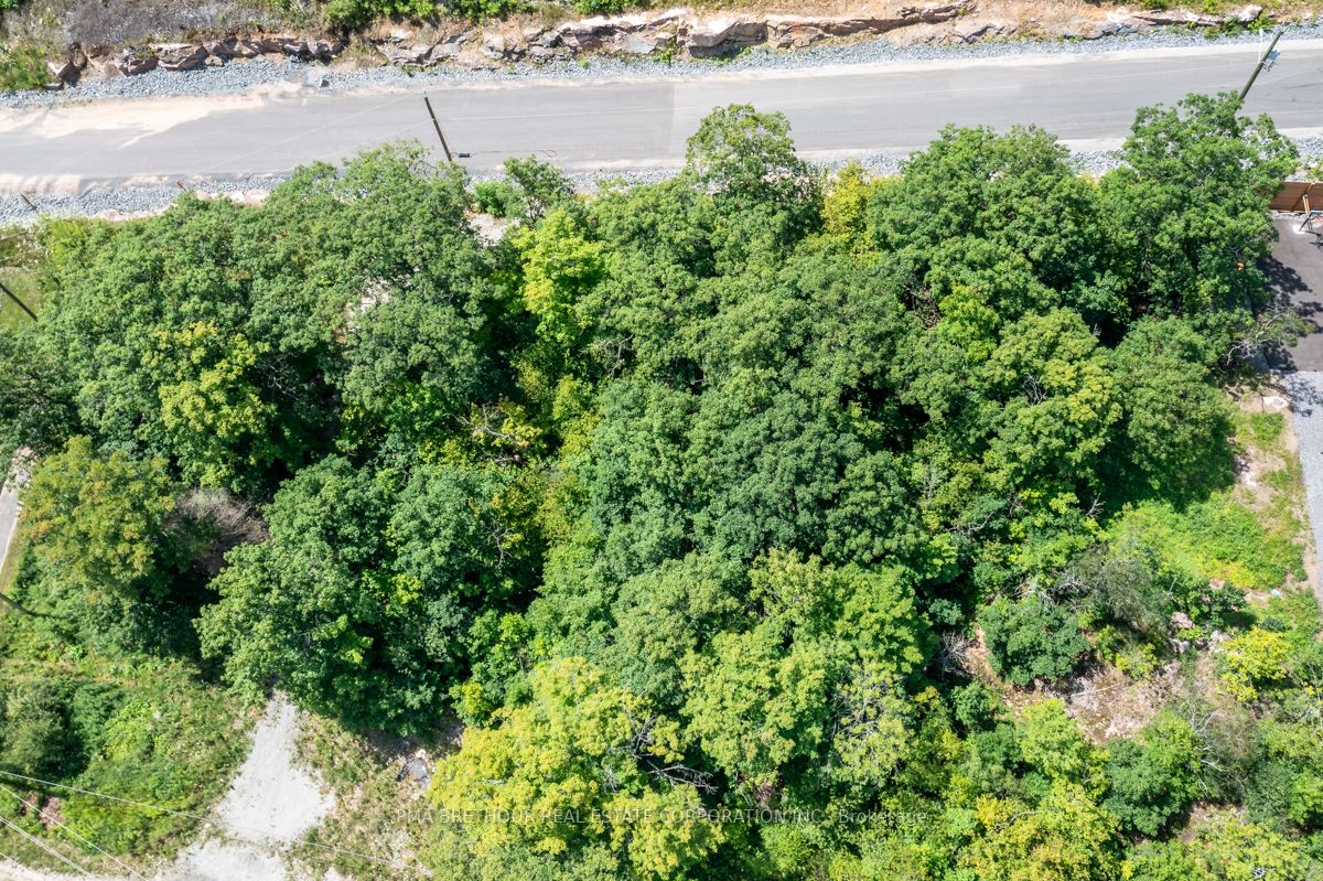 Lot 3 Beech Ave