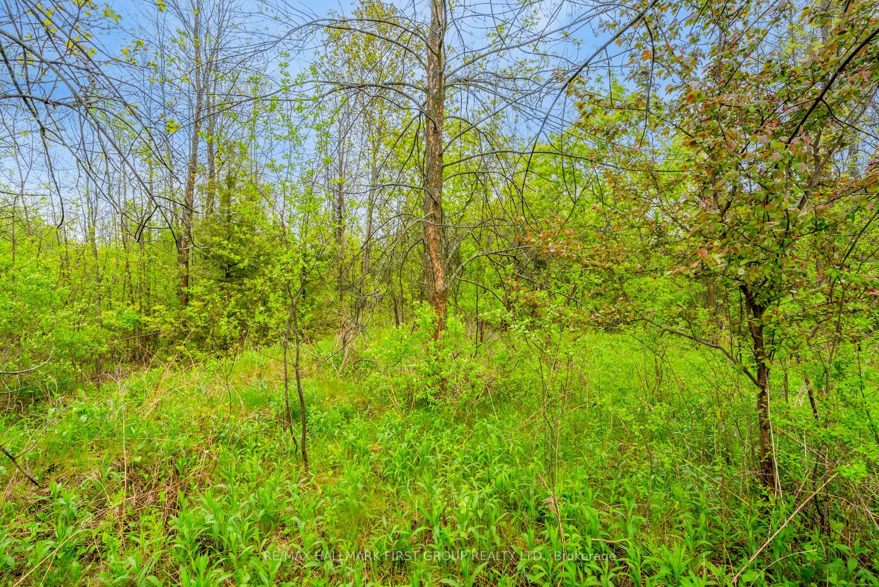 9633 County Rd 2 Road