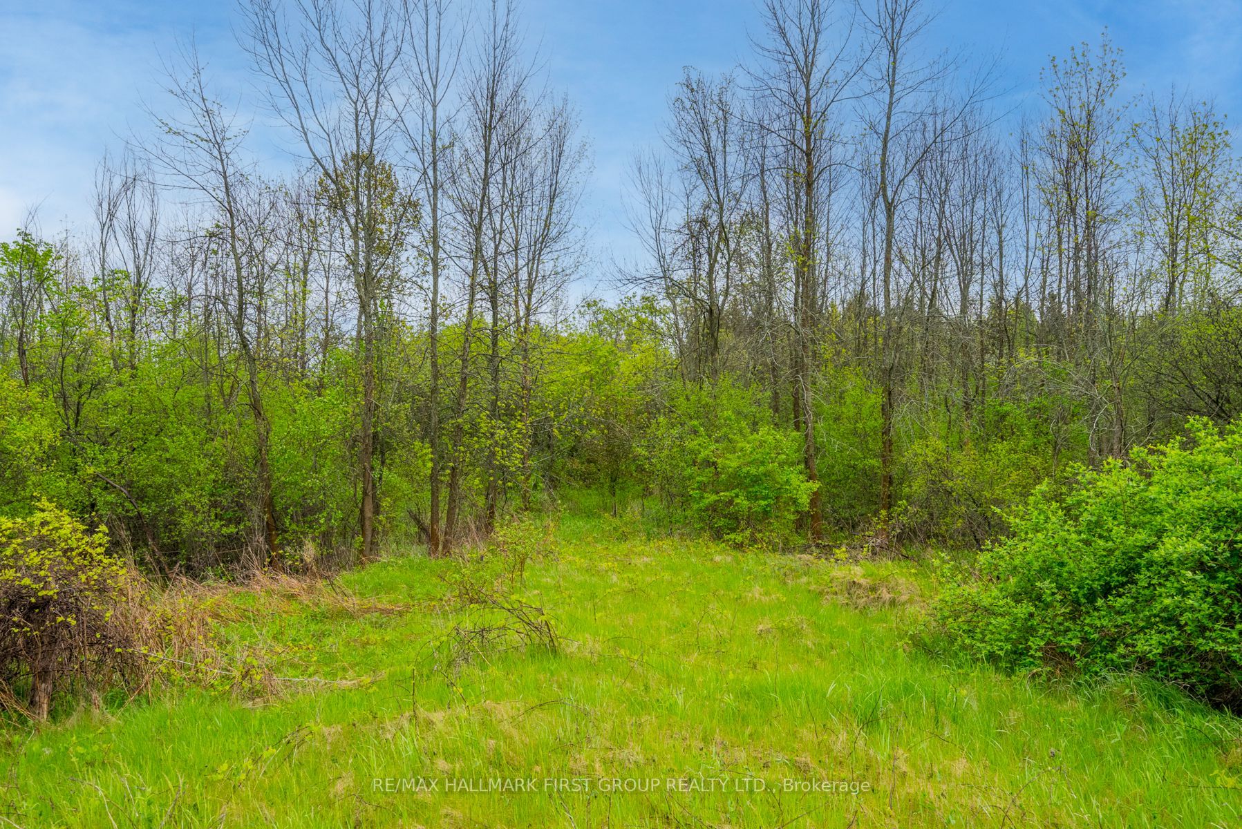 9633 County Rd 2 Road