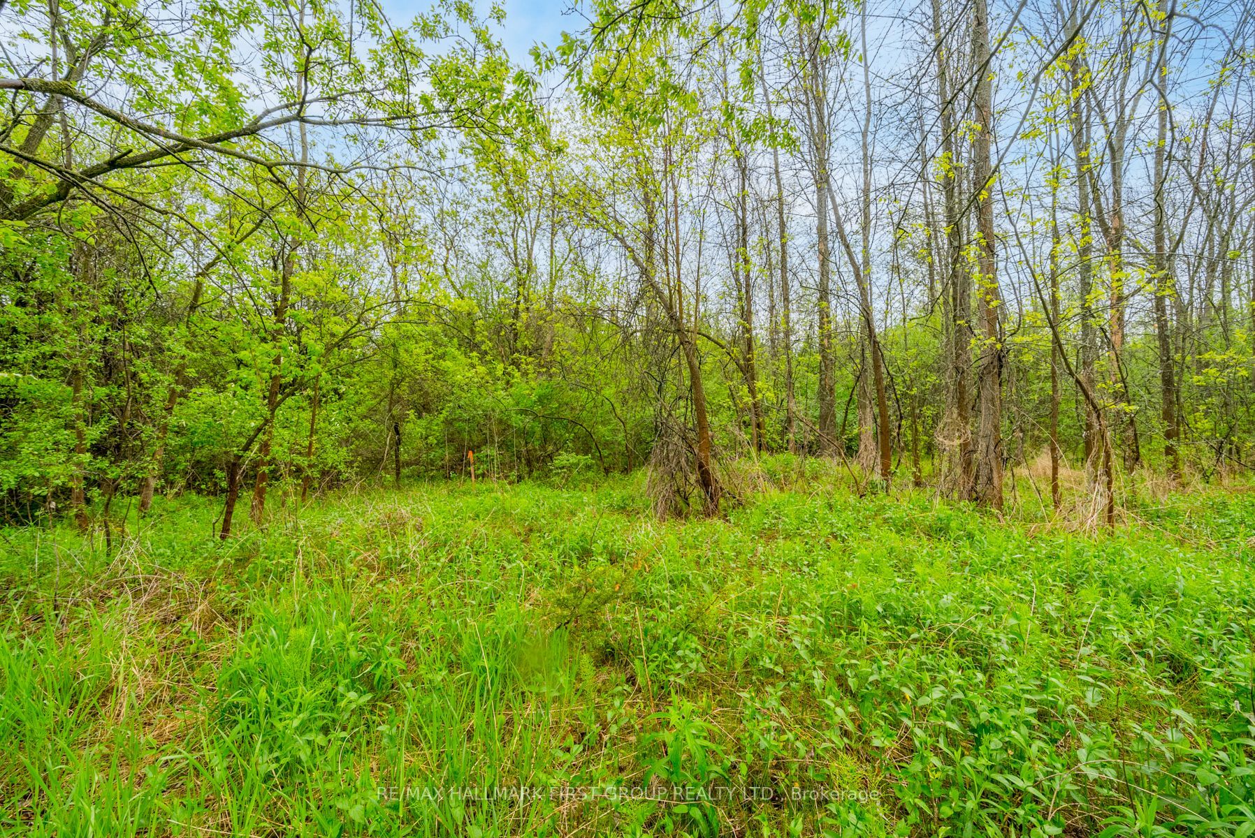 9633 County Rd 2 Road