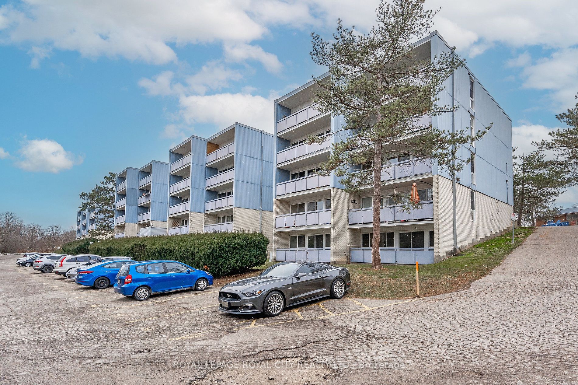 105 Conroy Cres, #103