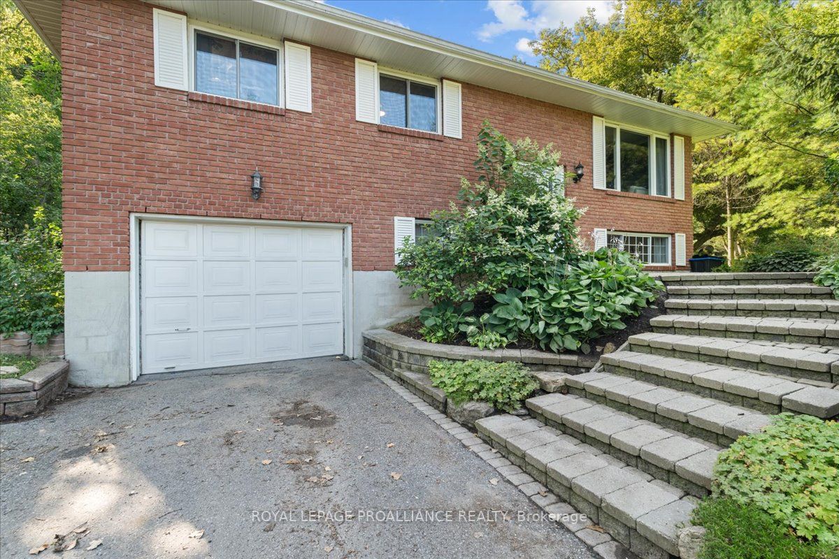 784 Palace Rd