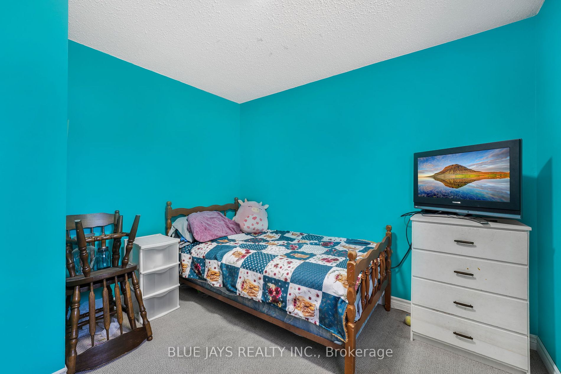 428 Olde Village Lane