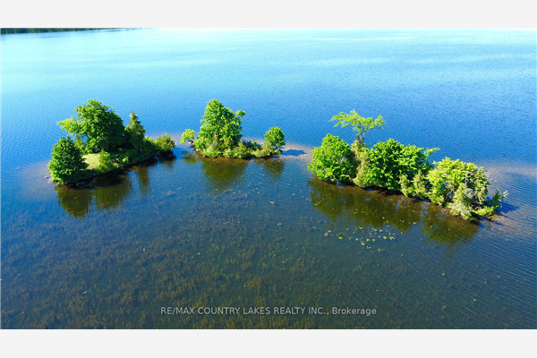 Lt 1 Island, Kawartha Lakes