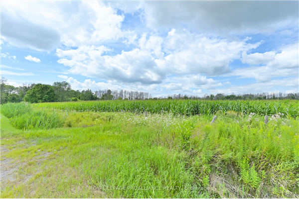 0 Hamilton Rd, Quinte West