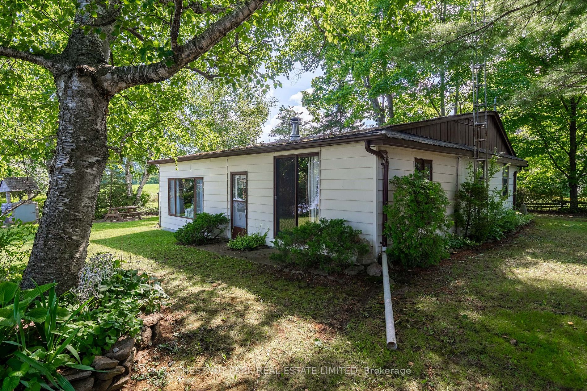 5 Bongards Lane