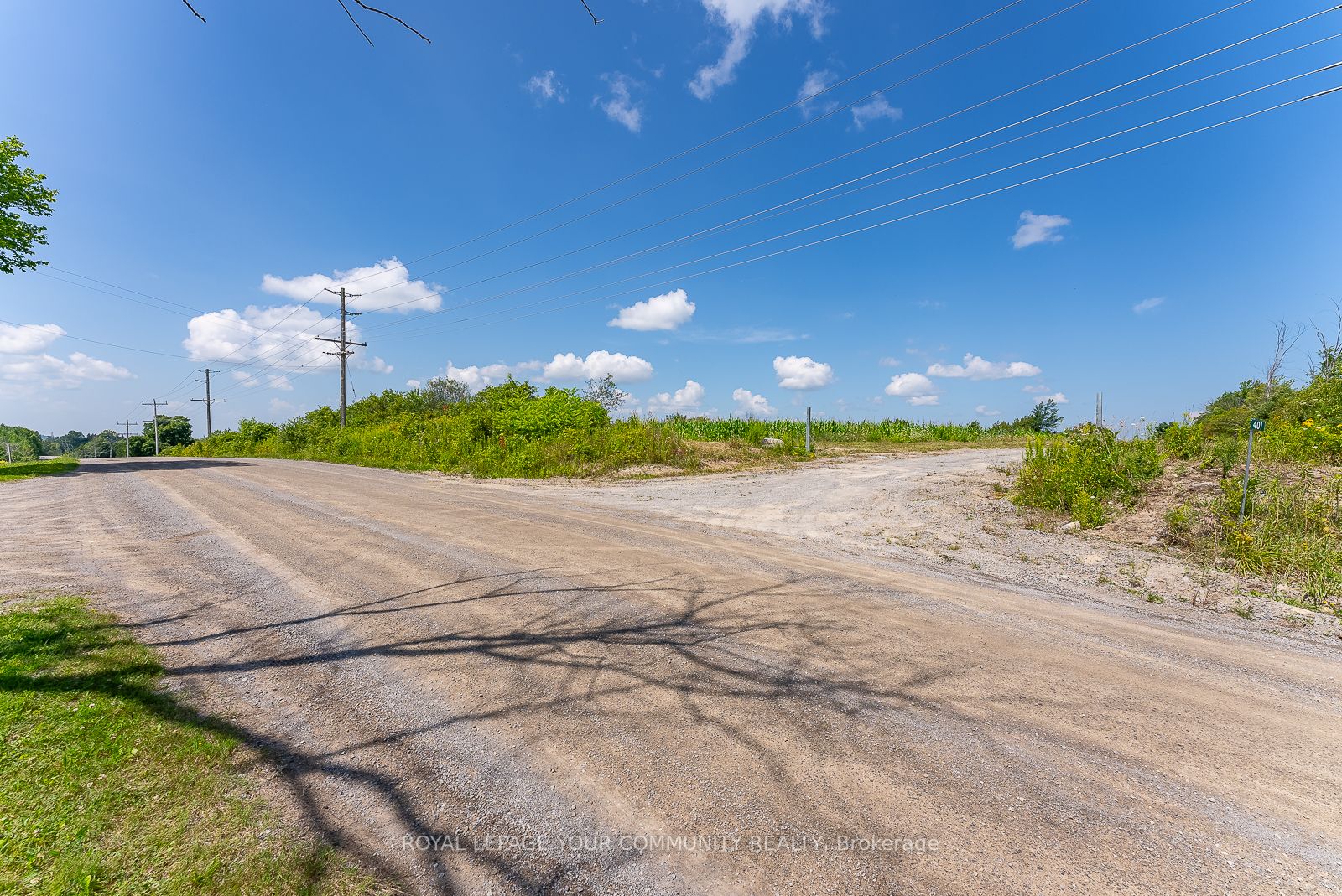 401 Grassy Rd