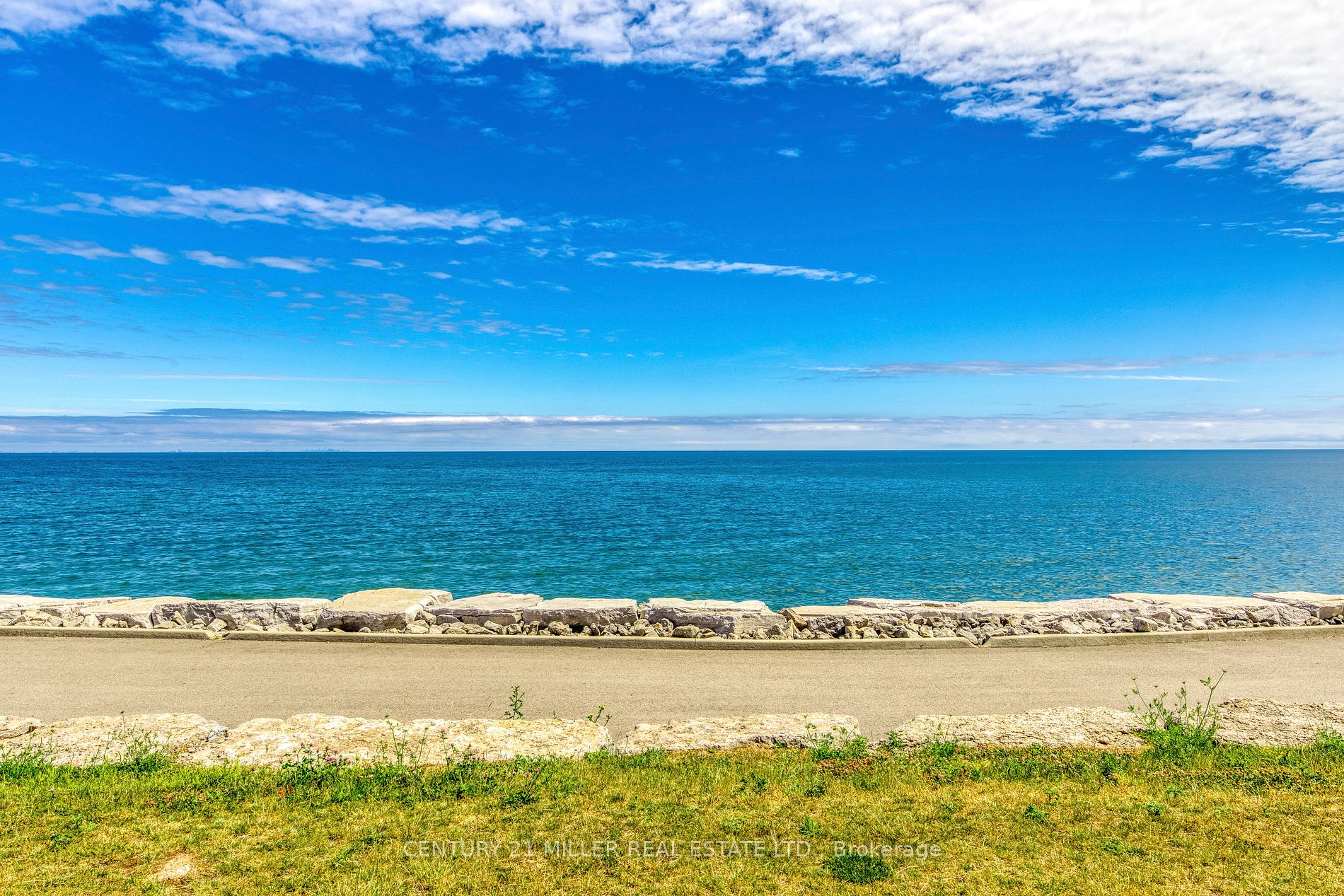 560 North Service Rd, #303