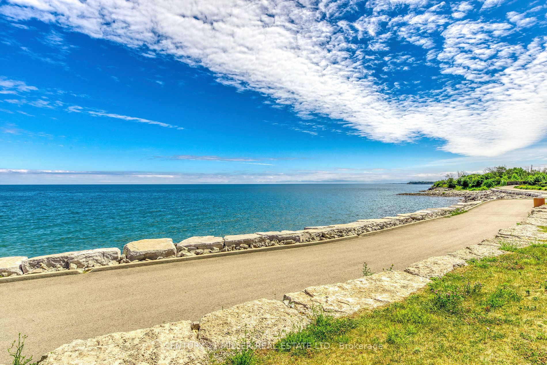 560 North Service Rd, #303