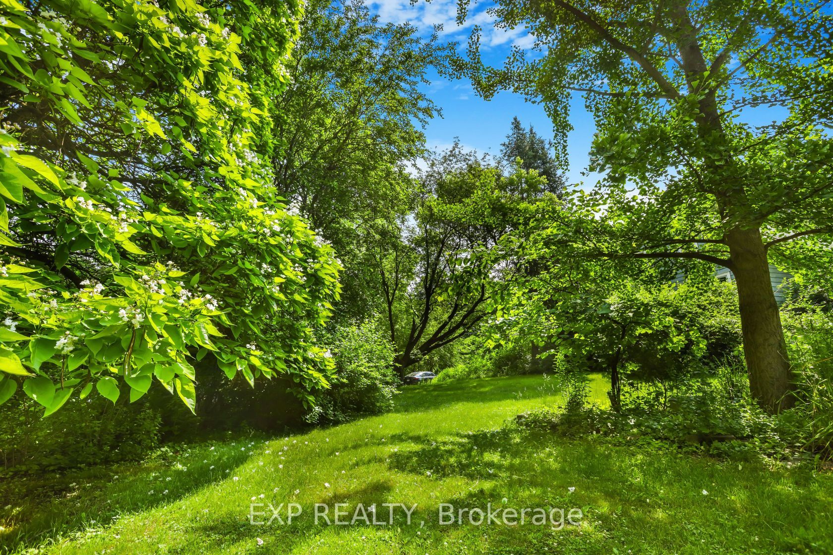 671 Lions Club Road