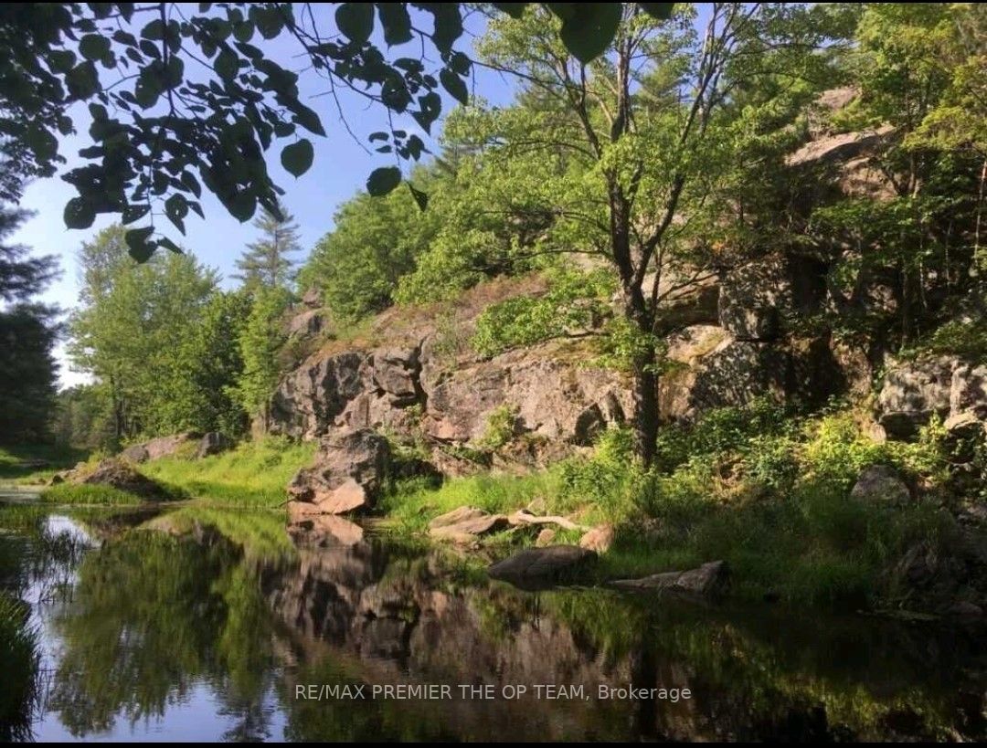Listing X6749936 - Large Photo # 4