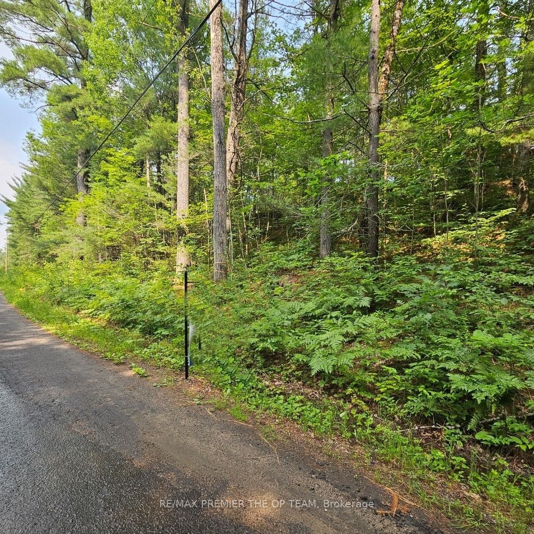 Listing X6749936 - Large Photo # 1