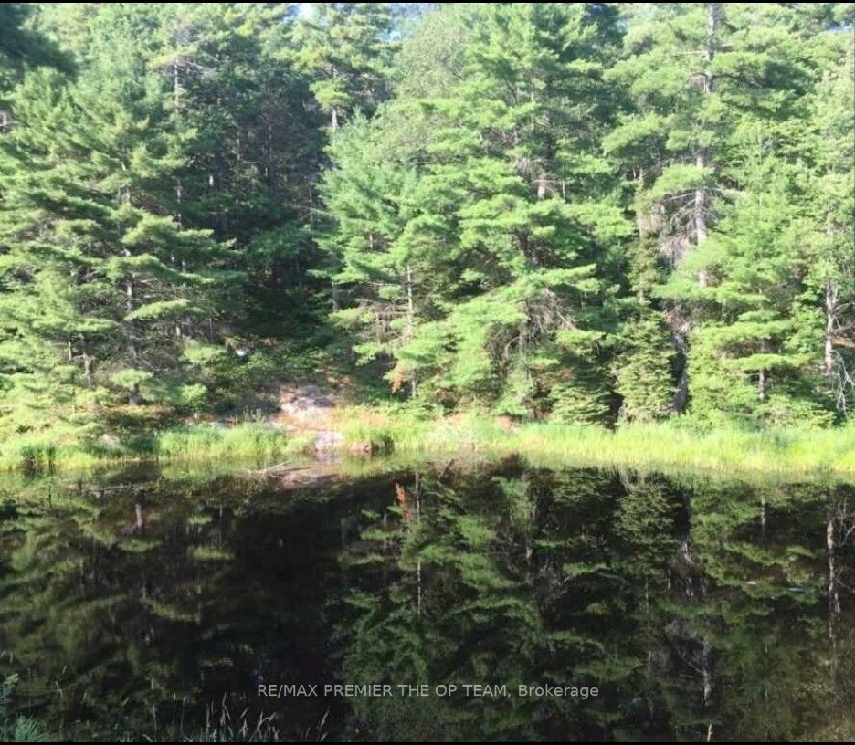 Listing X6749936 - Large Photo # 2