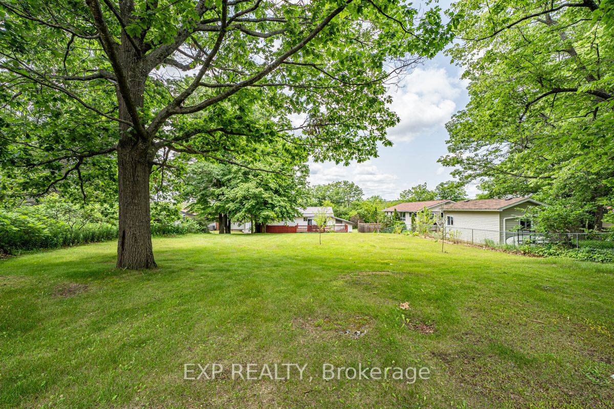 Listing X6752618 - Large Photo # 28