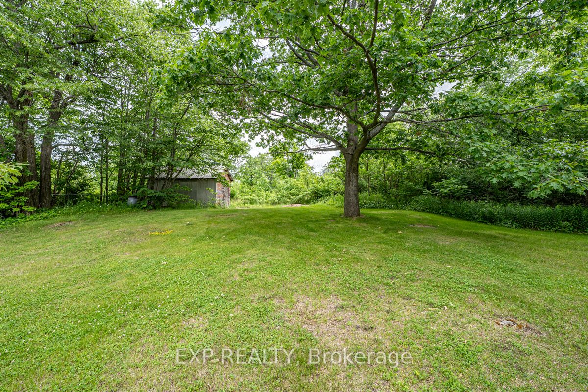 Listing X6752618 - Large Photo # 30