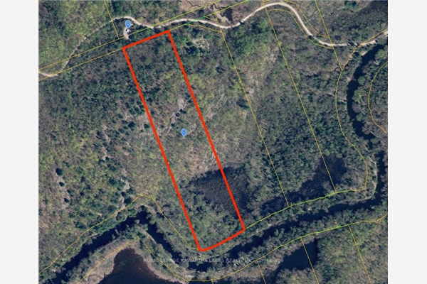00 Black River Rd, Kawartha Lakes