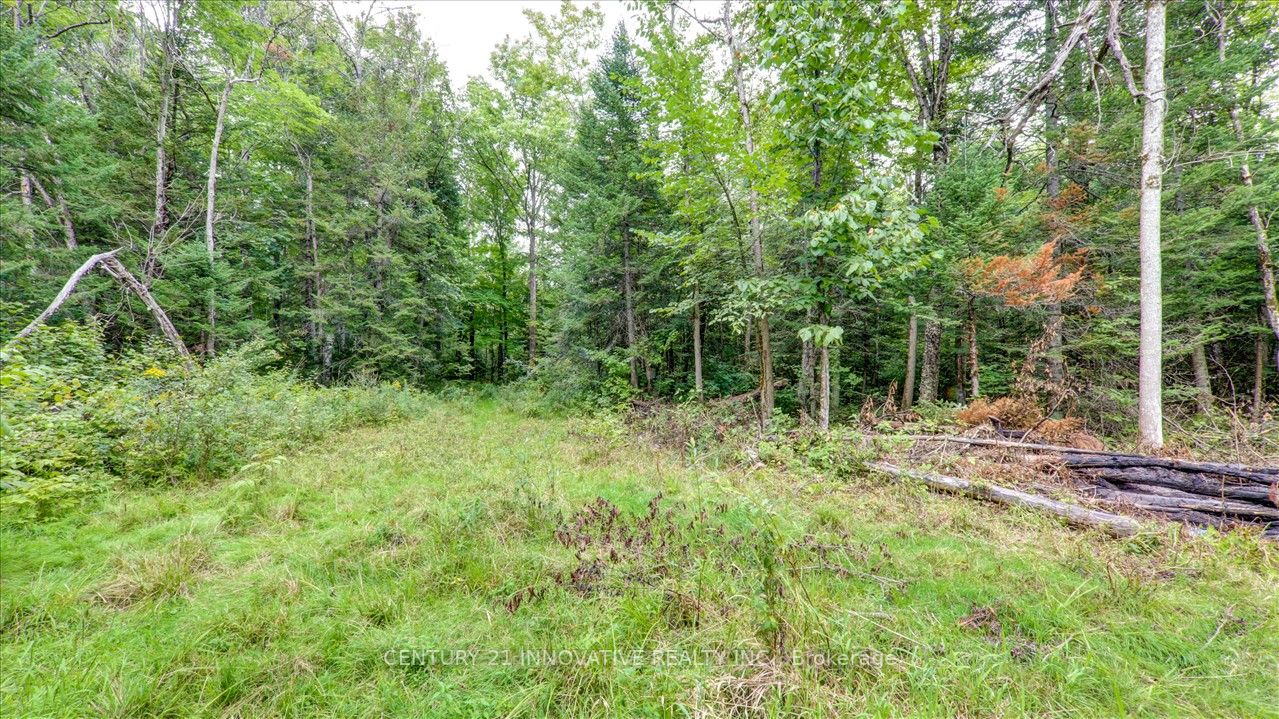 791 Mount Horeb Rd