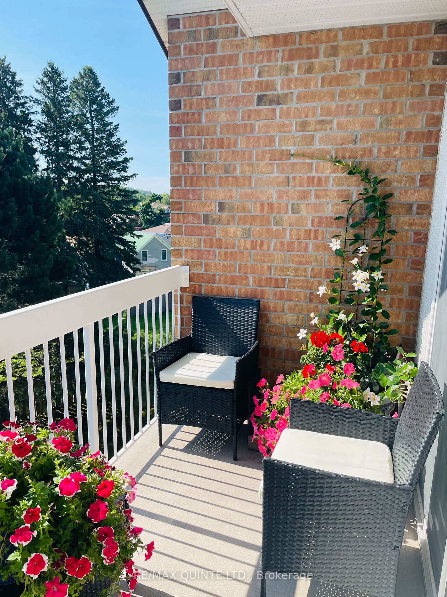 8 Talbot St, #318